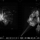 Illustration for article titled The iAssassin’s Creed/i Movie Has Some Beautiful Visualsem/em